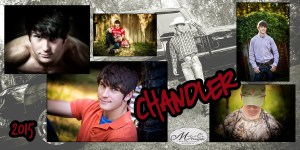 webChandlerCollage